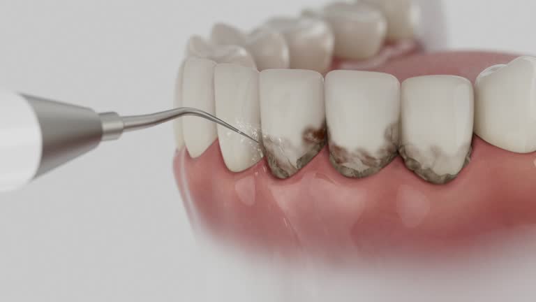 Reliable Dental contractor in August, CA by Dentist Open Now
